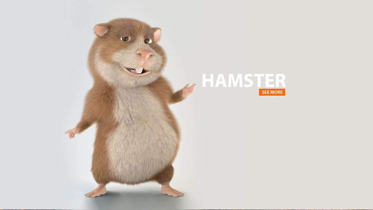 HAMSTER | 3d Cartoon Animation
