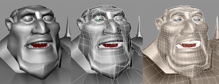 Taragon model