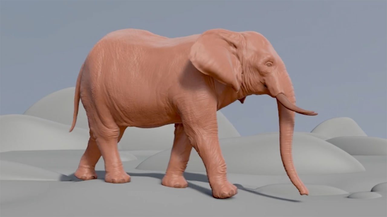 ELEFANT Walk | 3d Creature Animator